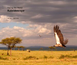 Kaliedoscope book cover