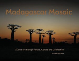Madagascar Mosaic